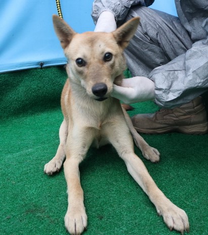 제주 동물보호센터_450650202403457