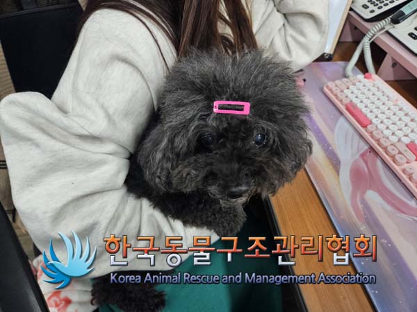 한국동물구조관리협회_441409202401800