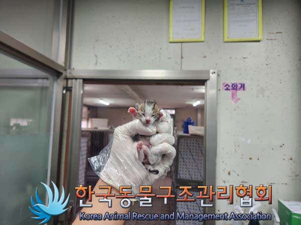 한국동물구조관리협회_411323202401083