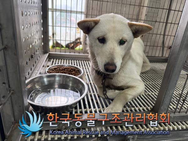 한국동물구조관리협회_441560202401387
