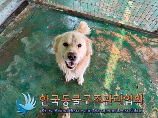 한국동물구조관리협회_441406202402065