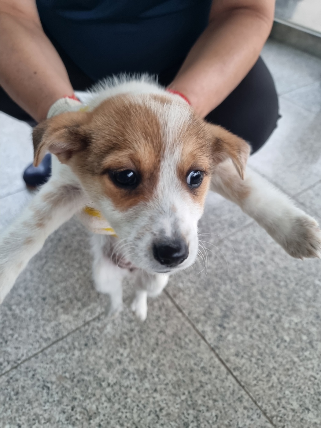구미시 동물보호센터_447508202401165