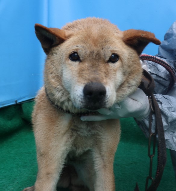 제주 동물보호센터_450650202403469