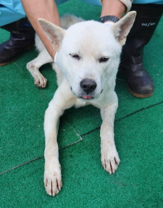 제주 동물보호센터_450650202403466