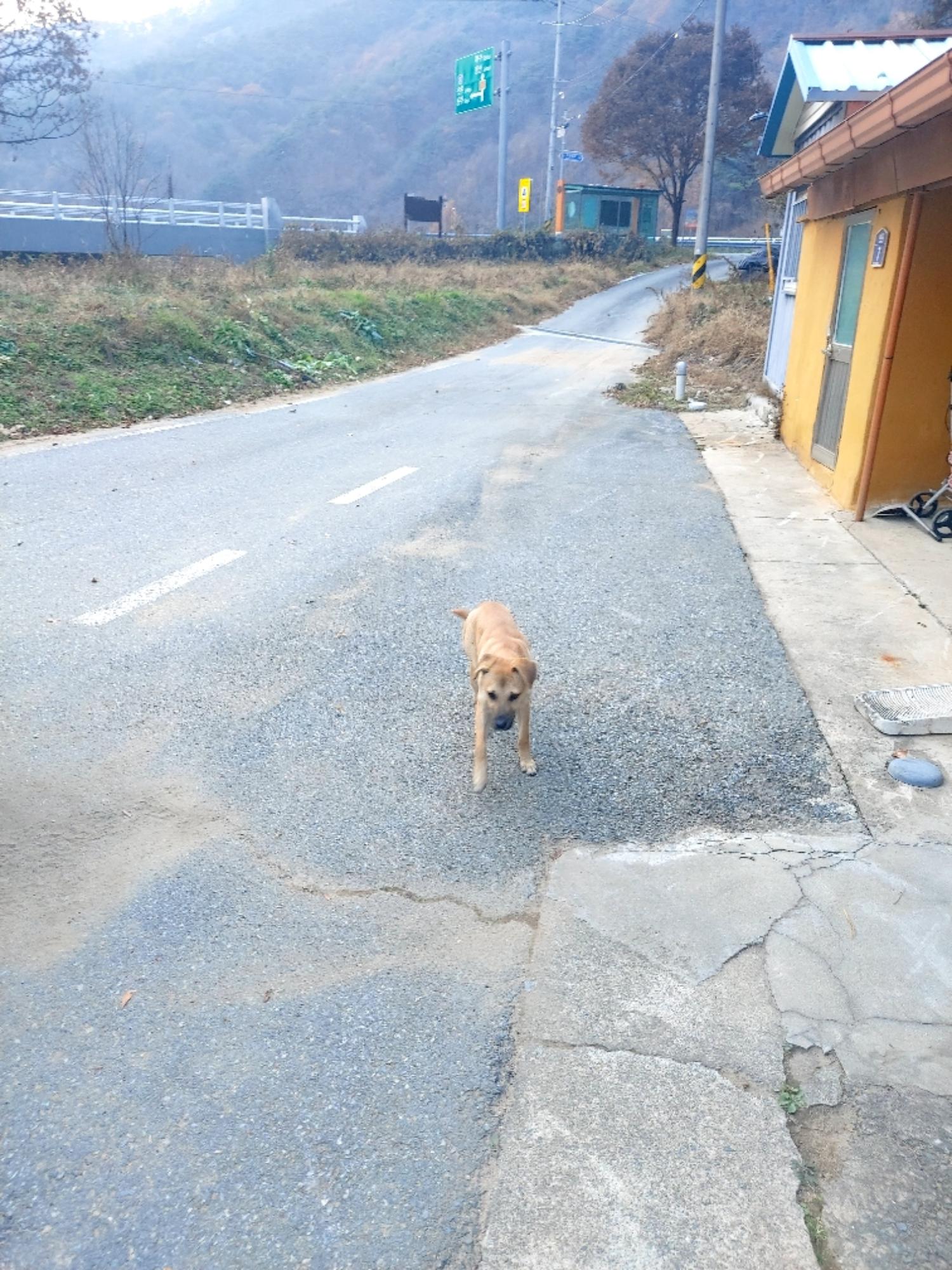 제일동물병원_444455202400650