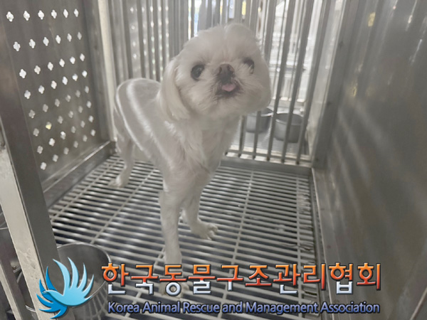 한국동물구조관리협회_441382202400819