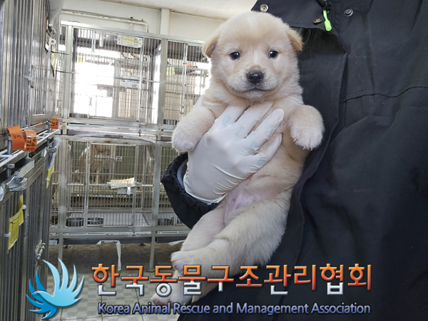 한국동물구조관리협회_441406202402080