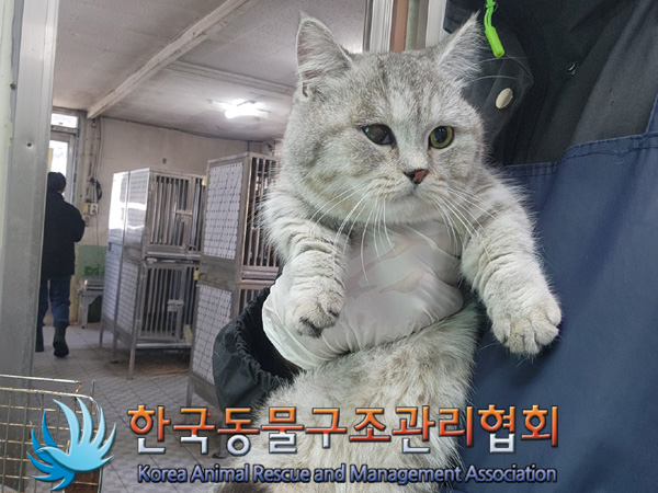 한국동물구조관리협회_411306202400861