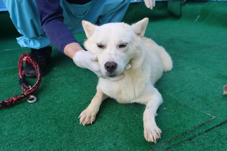 제주 동물보호센터_450650202403488