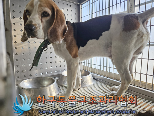 한국동물구조관리협회_441406202402075