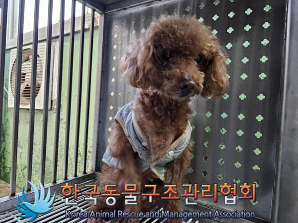 한국동물구조관리협회_441406202402083