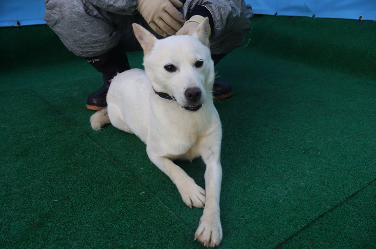 제주 동물보호센터_450650202403484