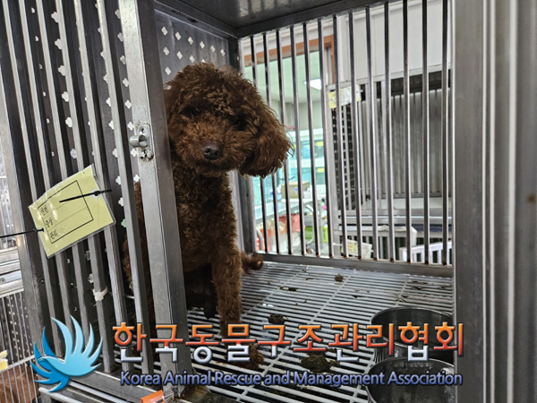 한국동물구조관리협회_441406202402074