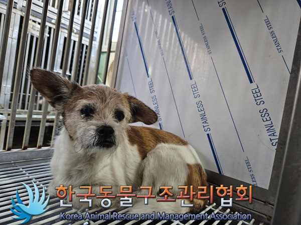 한국동물구조관리협회_411310202400672
