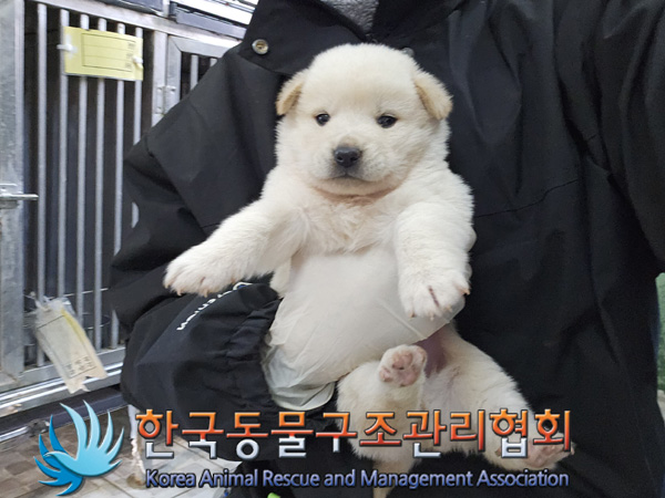 한국동물구조관리협회_441406202402076