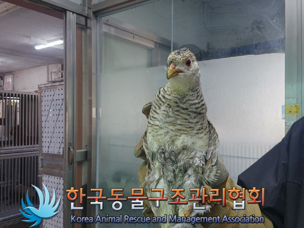 한국동물구조관리협회_411307202400638