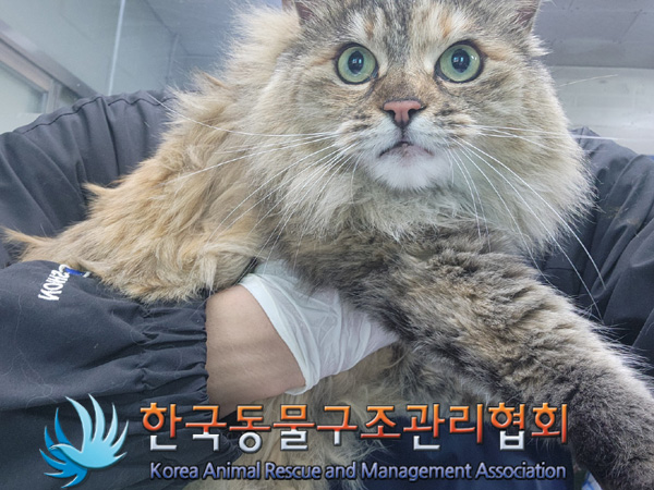 한국동물구조관리협회_411318202400515