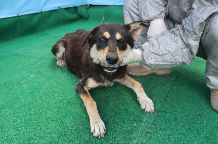 제주 동물보호센터_450650202403502