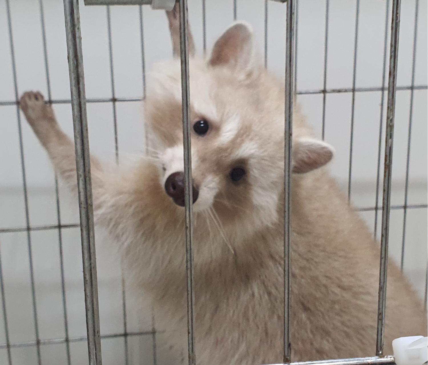 인천광역시수의사회_428351202400843