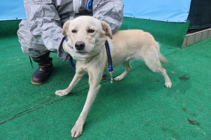 제주 동물보호센터_450650202403509