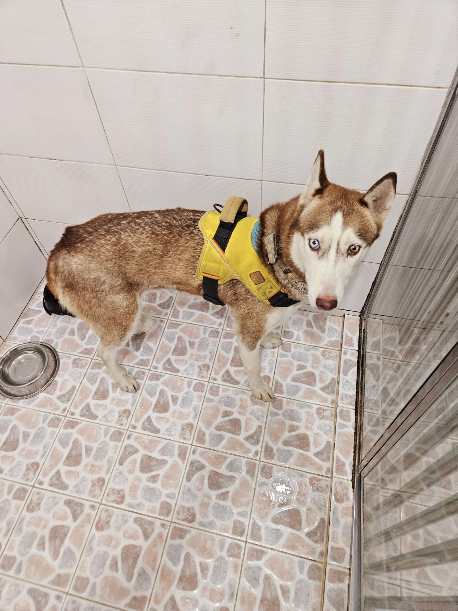 제니스동물병원_427346202401342