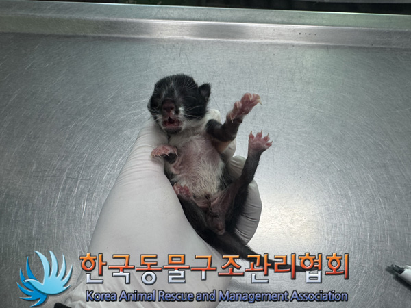 한국동물구조관리협회_441559202401361