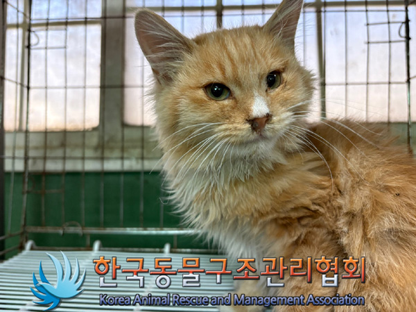 한국동물구조관리협회_441414202401001