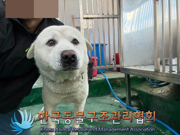 한국동물구조관리협회_441414202401000