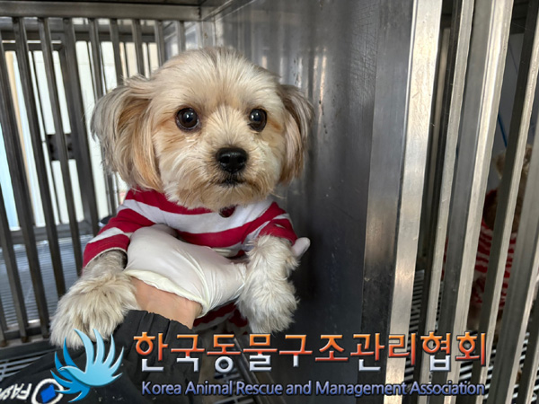 한국동물구조관리협회_411318202400519