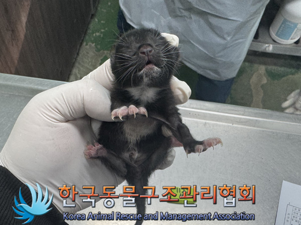 한국동물구조관리협회_441559202401363