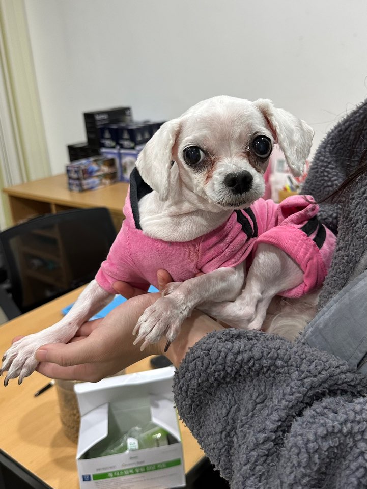 반려동물보호센터_443571202403270