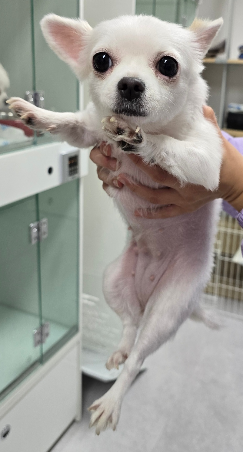 내품애센터_411312202400942
