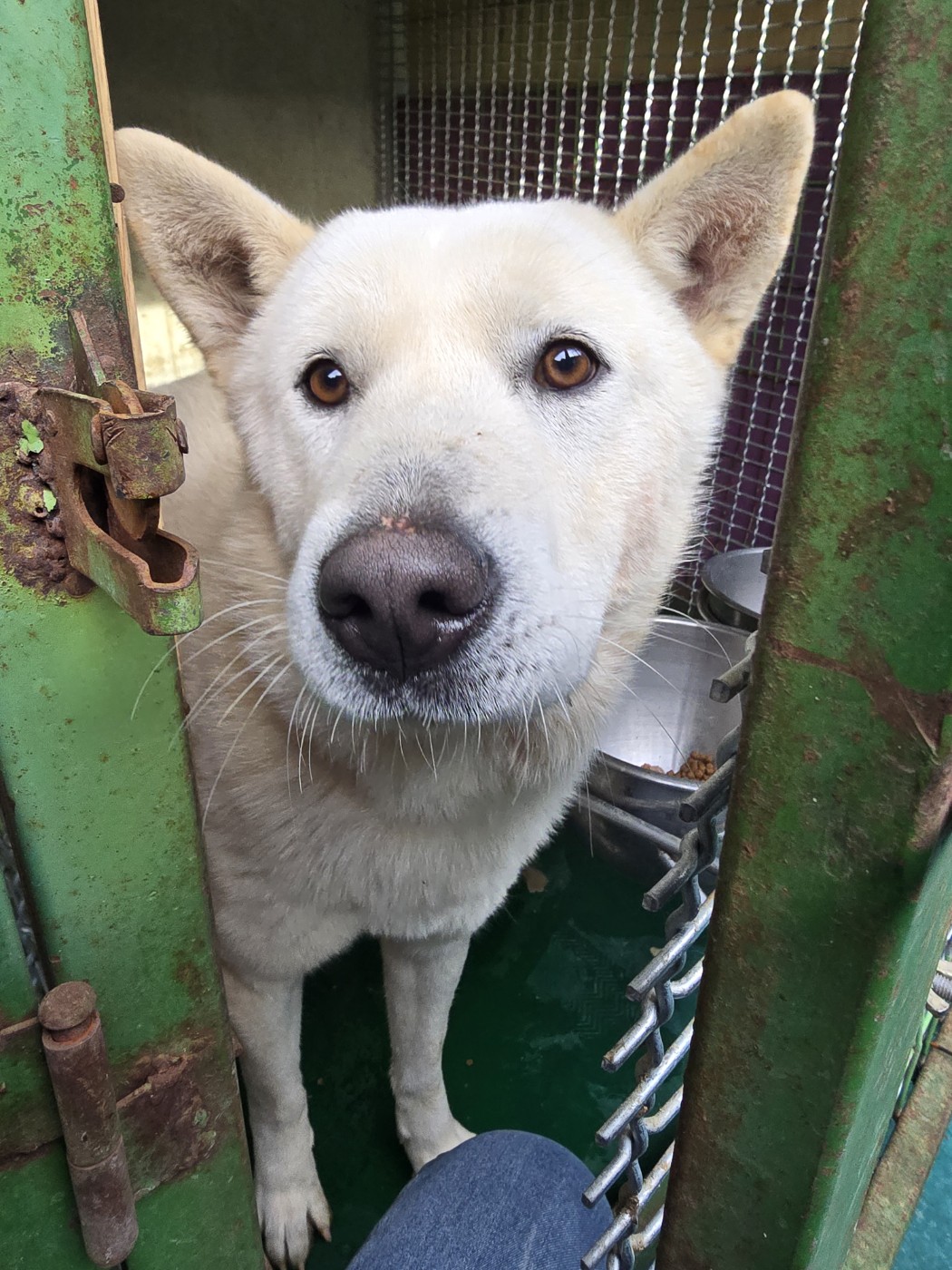 밀양시 동물보호센터_448536202401575