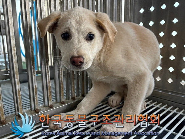 한국동물구조관리협회_441409202401864
