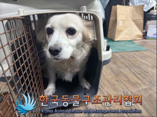한국동물구조관리협회_411324202400689