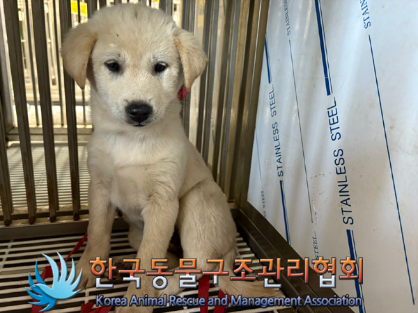 한국동물구조관리협회_441392202400284
