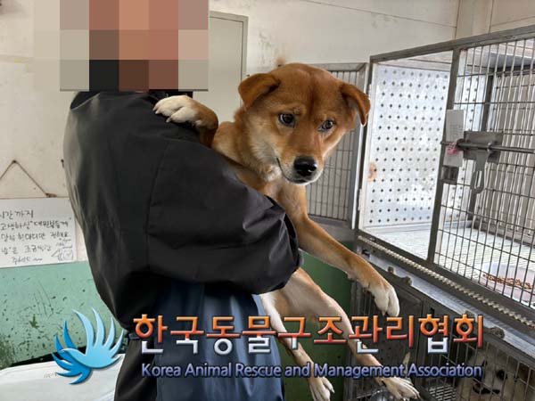 한국동물구조관리협회_411316202400892