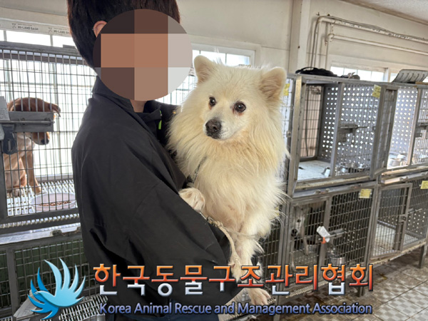 한국동물구조관리협회_411316202400891