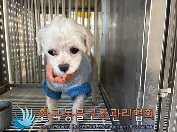 한국동물구조관리협회_441382202400821