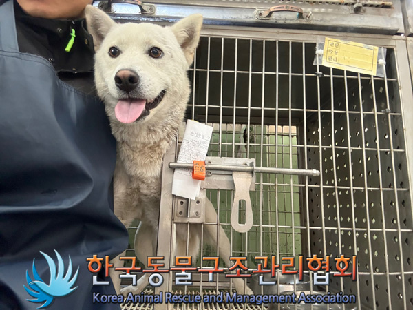 한국동물구조관리협회_441559202401365