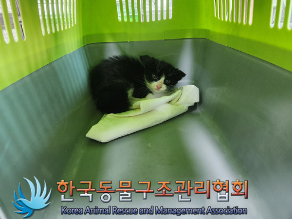 한국동물구조관리협회_411318202400531
