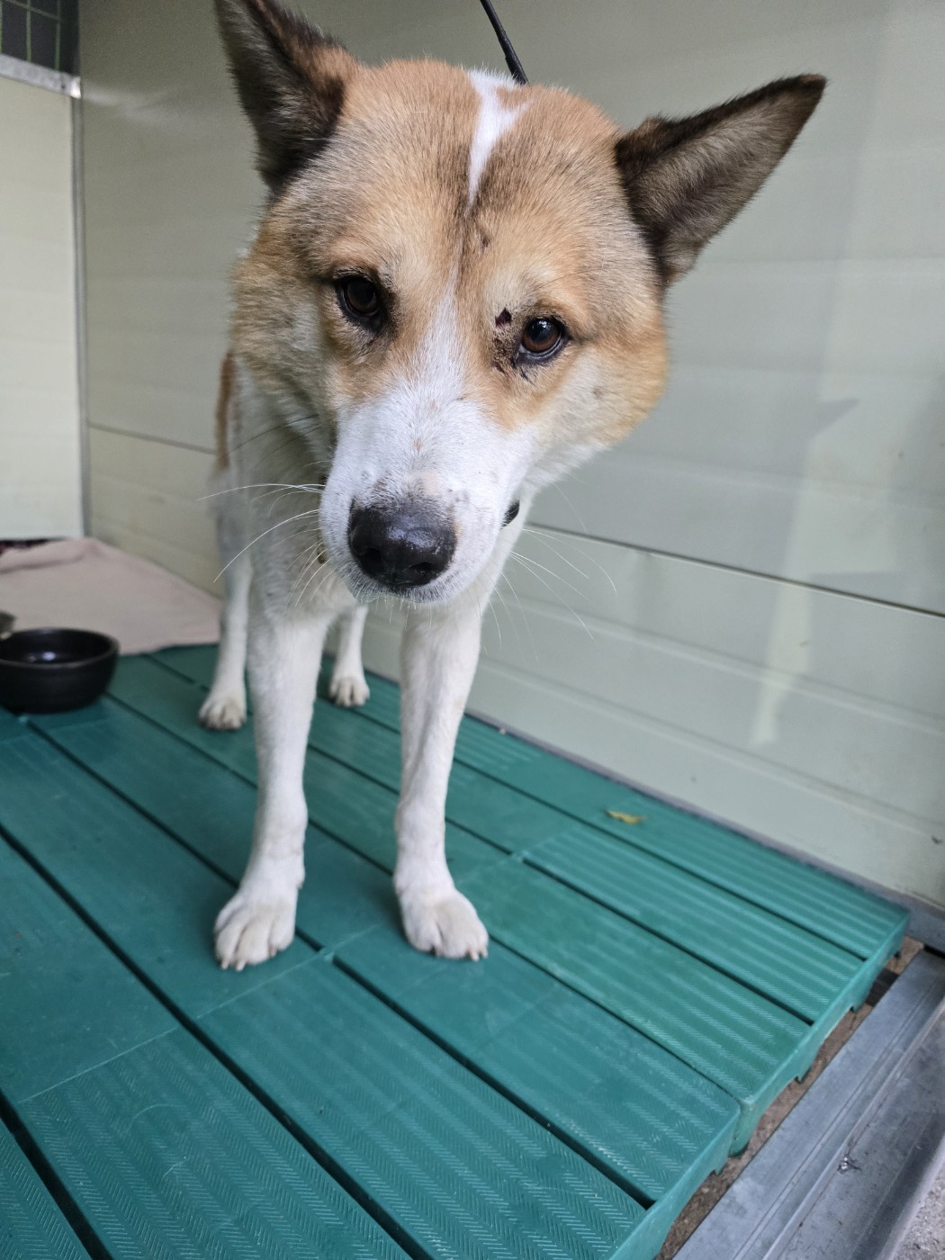 종료(반환) 라이카…