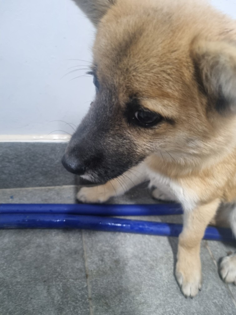 군위종합동물병원_427514202400656