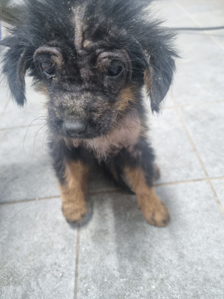 군위종합동물병원_427514202400651