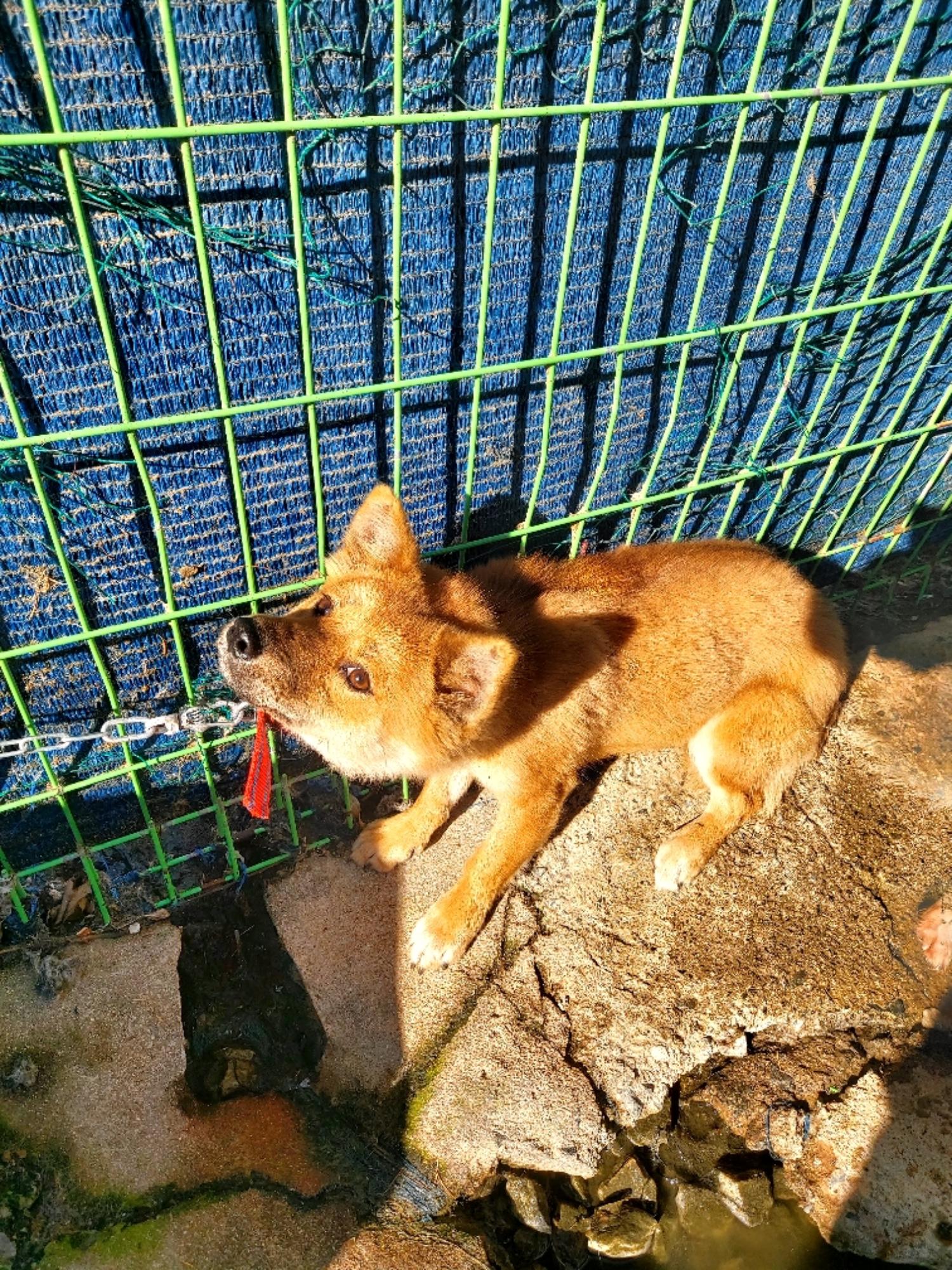 제일동물병원_444455202400659