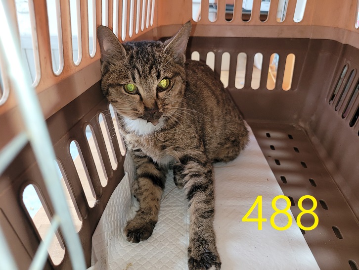 신영재동물병원_428355202400858