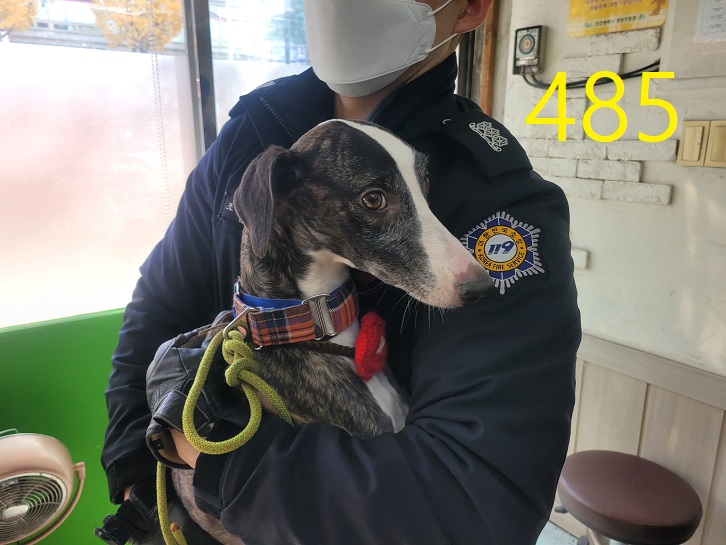 신영재동물병원_428355202400855