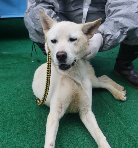 제주 동물보호센터_450650202403527