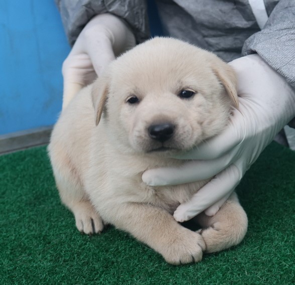 제주 동물보호센터_450650202403538
