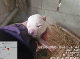 대전동물보호센터_430367202400958
